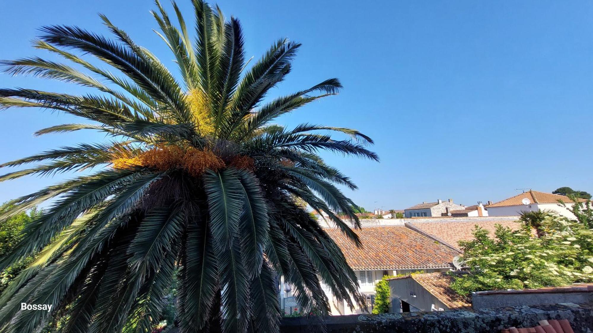 Chambres D'Hotes L'Insulaire Saint-Denis-dʼOléron Esterno foto
